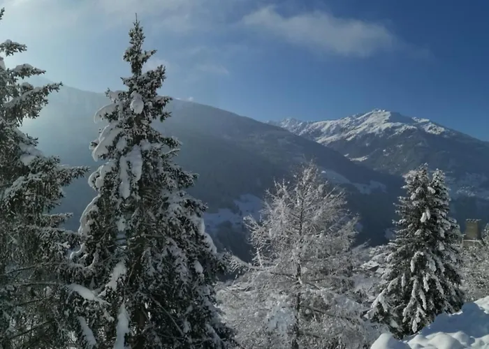 Apartment Schlatter *